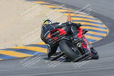 media/Feb-04-2023-SoCal Trackdays (Sat) [[8a776bf2c3]]/Turn 10 Backside (1010am)/